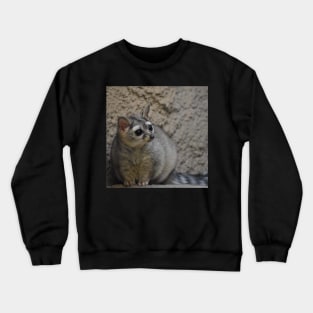 Ringtail Crewneck Sweatshirt